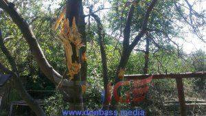 Сводки от ополчения Новороссии  1 августа 2015