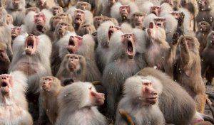 Хунта воюет с учеными. Минобрнауки лишает научных званий «за сепаратизм»