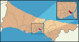 Эрдоган – президент Турции. Из маленького человека в большого политика