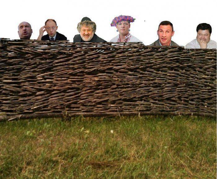 Новости Украины: Новый проект для распила денег