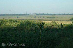 Сводки от ополчения Новороссии 2 сентября 2015