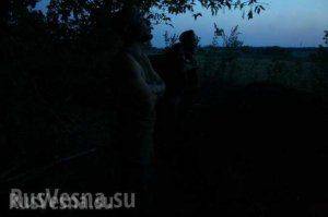 Сводки от ополчения Новороссии 2 сентября 2015