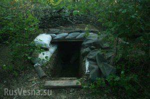 Сводки от ополчения Новороссии 2 сентября 2015