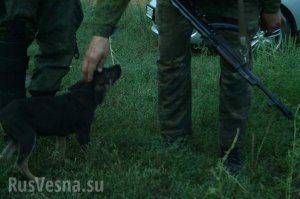 Сводки от ополчения Новороссии 2 сентября 2015