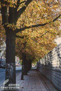 Сводки от ополчения Новороссии 11 сентября 2015