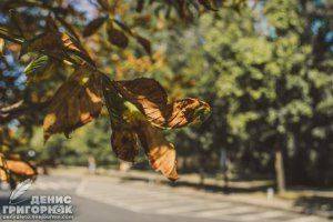 Сводки от ополчения Новороссии 11 сентября 2015