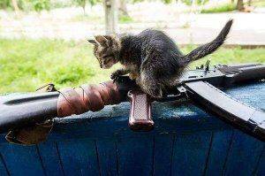 Сводки от ополчения Новороссии 22 октября 2015