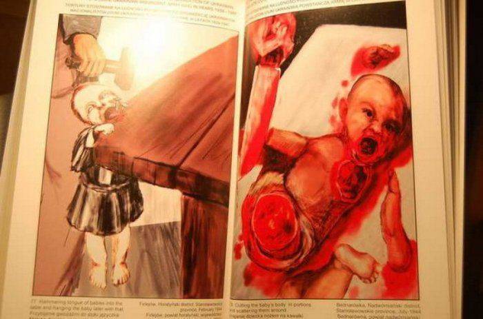 Польский политик: Украинцы должны понести ответственность за Волынь 