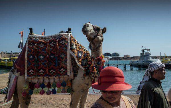 СМИ: депутаты от КПРФ предложили запретить полеты в Турцию и Тунис