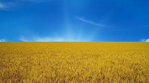 Как Украина убивает аграрную экономику
