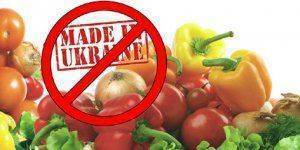 Украина не сможет заменить рынок России