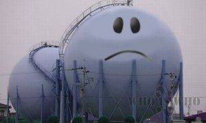 Жизнь взаймы