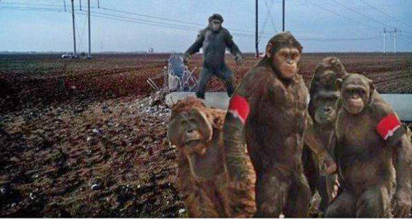 Правосеки официально отказались от блокады Крыма