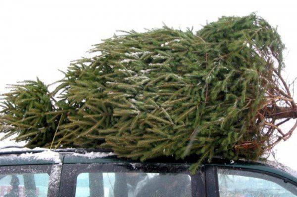 Расово правильный Новый год