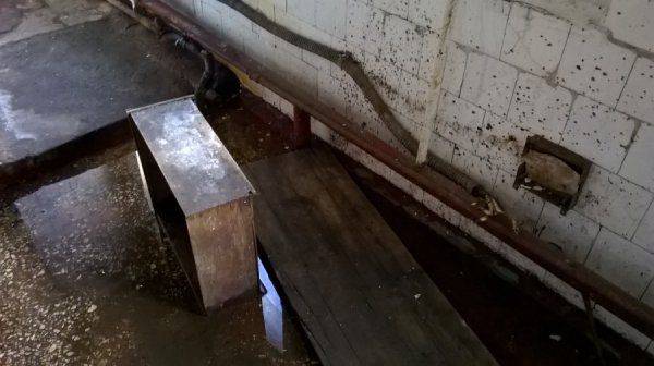 «Хуже, чем бомжи»: шокирующий репортаж украинского блогера о жизни морской пехоты под Одессой