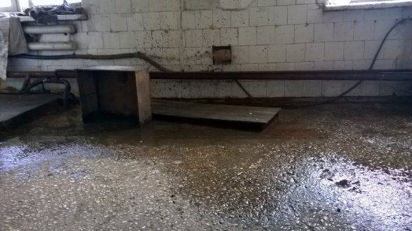 «Хуже, чем бомжи»: шокирующий репортаж украинского блогера о жизни морской пехоты под Одессой