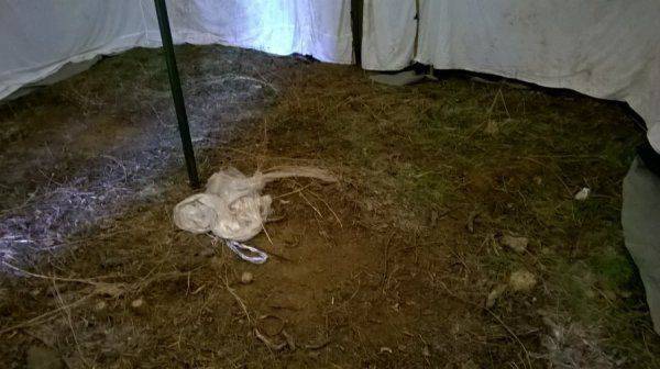 «Хуже, чем бомжи»: шокирующий репортаж украинского блогера о жизни морской пехоты под Одессой