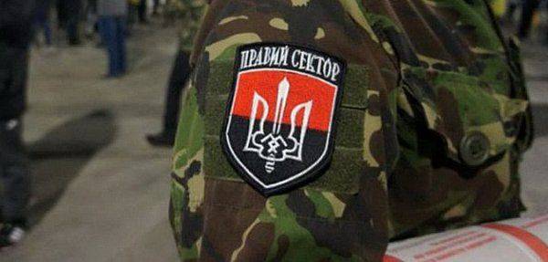 Как «Правый сектор» вербует жителей России?