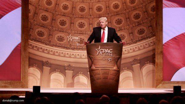 Неожиданный кандидат: Трамп на пути к Олимпу