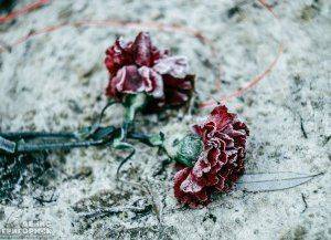 Сводки от ополчения Новороссии 11 декабря 2015