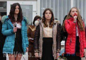 Сводки от ополчения Новороссии 17 декабря 2015