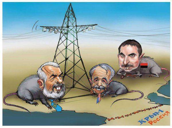 Страничку экс-депутата парламента Крыма заблокировали из-за карикатуры на Чубарова и Ислямова