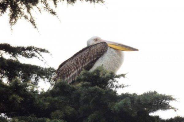 Крым возвращается в лето