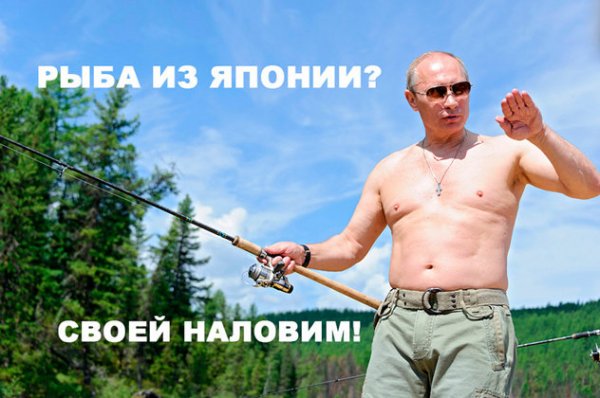 Настоящие причины санкционной войны