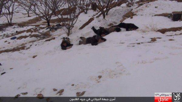 Сводка событий в Сирии за 29 января 2016 года