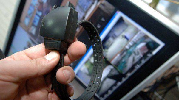 Диснейленд в Париже опасен?