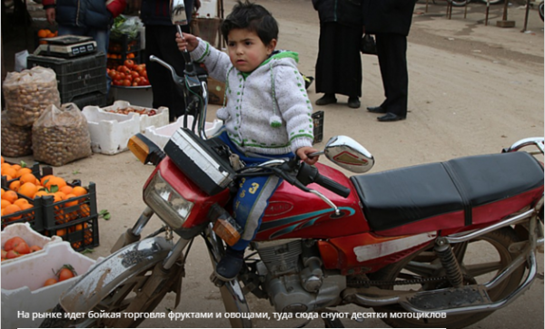 Битва за Алеппо: шиитская крепость