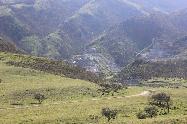 Активисты ОНФ обеспокоены состоянием уникального памятник природы «Талгинская долина»