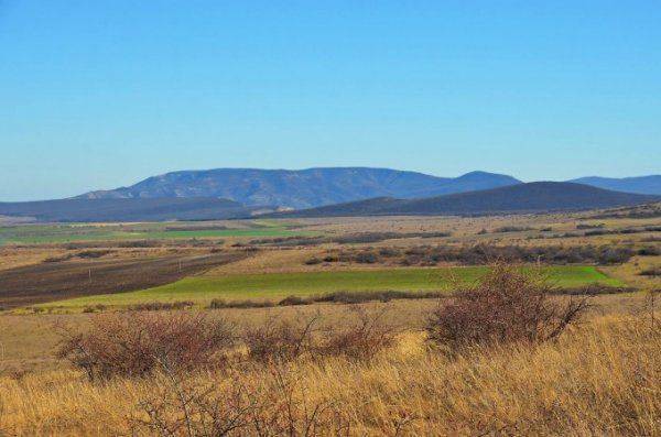 Неужели возрождаемся? Местные жители вновь видят ухоженные поля в Крыму