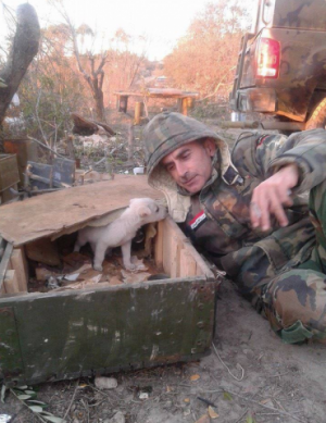 Сводка событий в Сирии за 12-13 февраля 2016 года