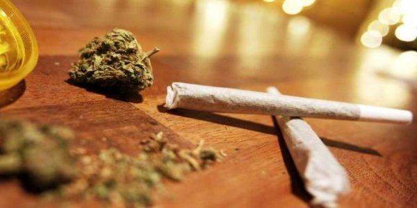 Голландская лошадь Виталия