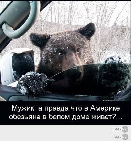 MOUNT SHOW Сеня всё. Отставка Яценюка