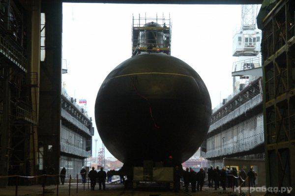 Как «украинских патриотов» жаба задавила