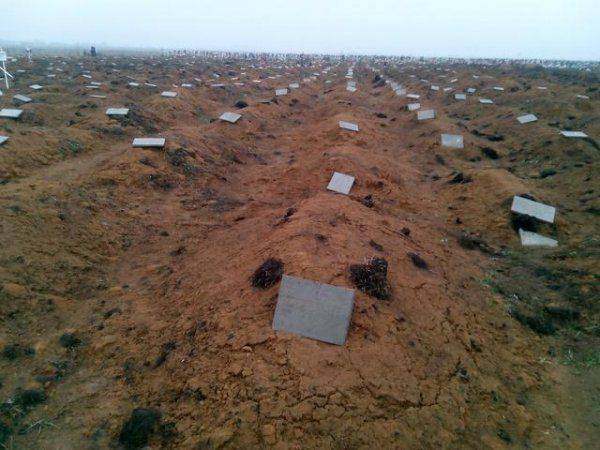 Зачем Порошенко занижает потери и сколько на самом деле погибших в Донбассе?