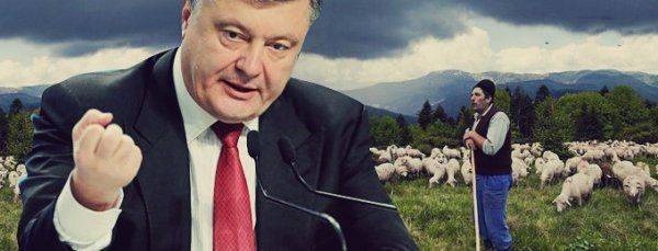 Закарпатье: Попытка сбросить киевское ярмо