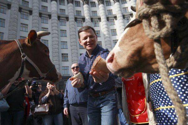 Последний год Порошенко