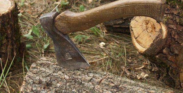 Руби дрова – стань энергонезависимой! 