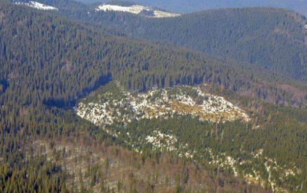 Древесно-зерновой фундамент украинской экономики