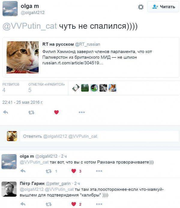 Филип Хэммонд заверил членов парламента, что кот из британского МИД — не шпион