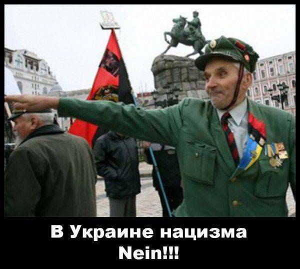 В Николаеве нацисты осквернили украинский национальный флаг