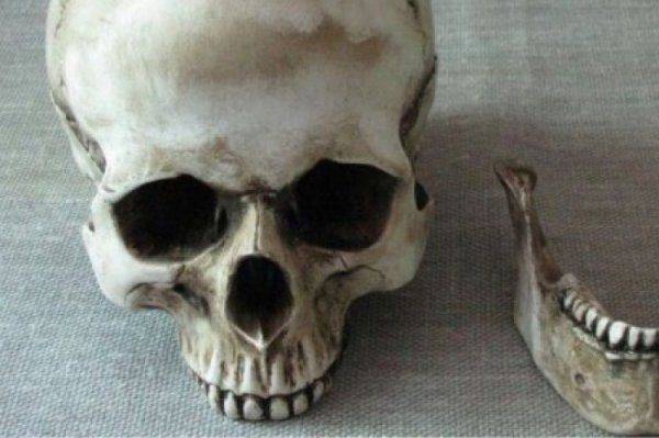 Украина: Продаю череп боевого товарища, героя АТО