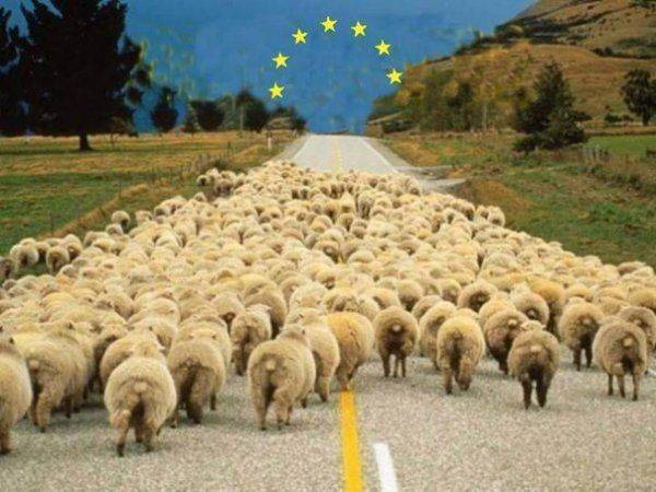 Прощание с Европой