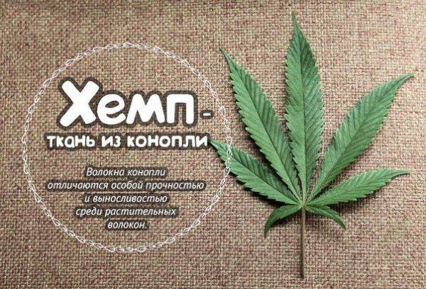 Синоним к слове конопля кашель при курении марихуаны