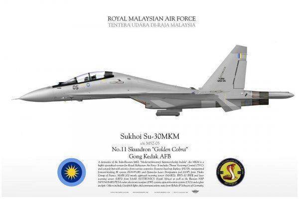 Русский "Страйк-Игл" или двухместная Сушка. Сказ о Су-30