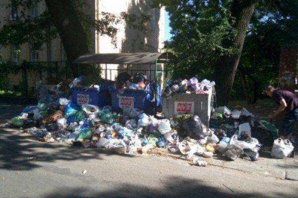 Мусорная Венеция: по улицам Лемберга плавают патриотические отходы