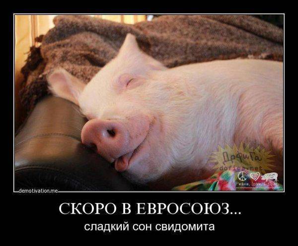 Сон патриота за пять секунд до введения безвизового режима